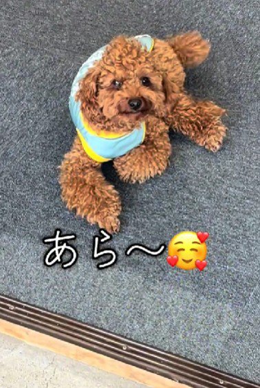 可愛らしい姿にキュン♡
