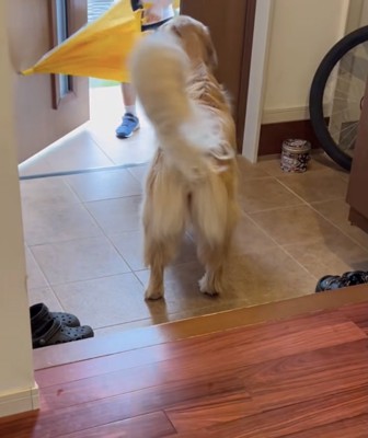 尻尾がブンッ