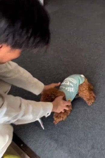 猛犬どころかアイドル!!