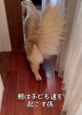 「朝ですよー！」