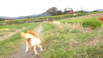 「もう待てない！」