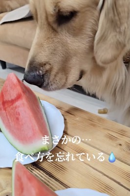久しぶりすぎるもんね!