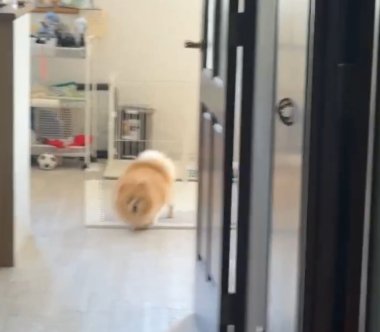 ドンッ
