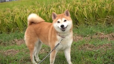 パパさんが一緒でニコニコ♪