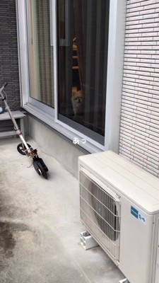 出かける飼い主さんを窓越しに見つめる犬