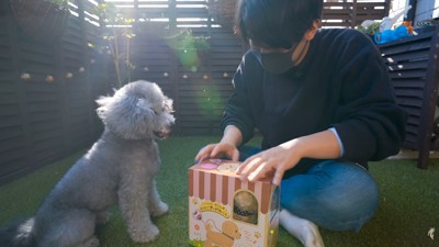 グリィくんにおもちゃをプレゼント