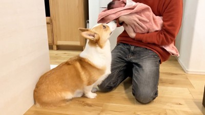 いい子でお座り