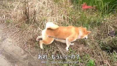 意外と冷めるのが早い（笑）