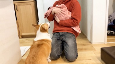 気を遣って自主的にお座り