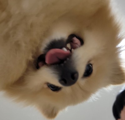 アップ
