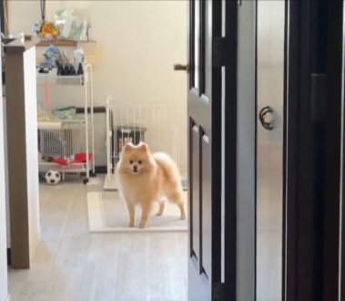 文句
