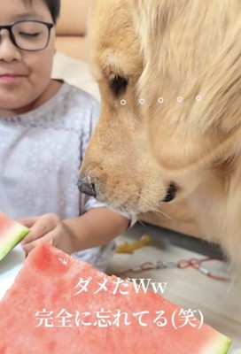 頑張って思い出すんだ…!