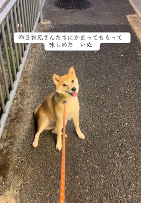 期待しているもっぴちゃん