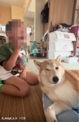 目を細めるもっぴちゃん