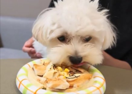 ピザ
