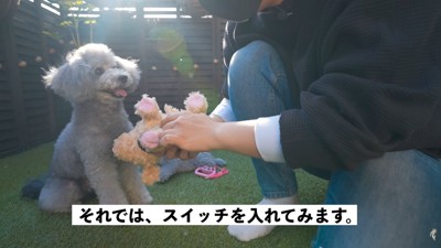 スイッチを入れたら…