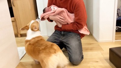 赤ちゃんを近づけてみたら…
