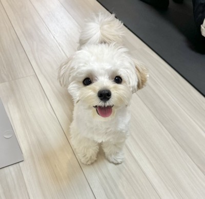 にっこり