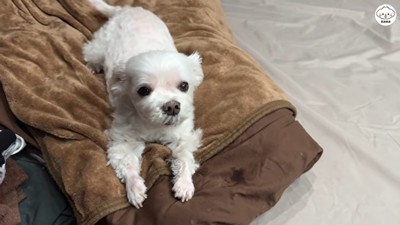 「帰ってきたよ！」と伝えたら…