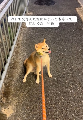 絶対動かないもっぴちゃん