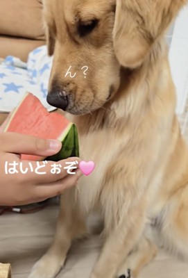 「どうするんだっけ!?」