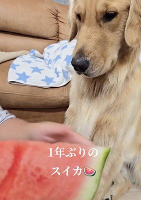 すでに戸惑いの表情