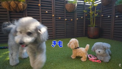 立ち去ってしまいました!