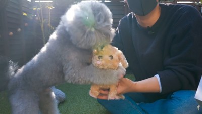 抱きついて大喜び!
