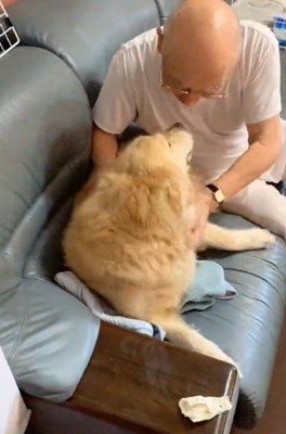 見つめ合うふたり