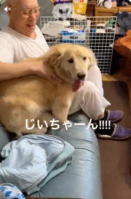 落ち着かないりんちゃん