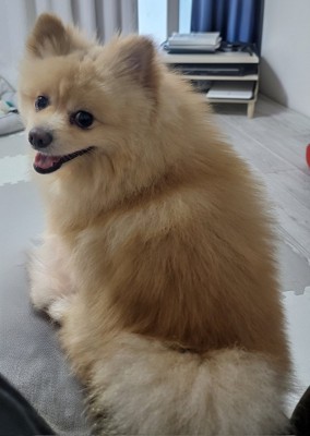 振り向く