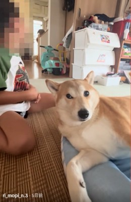 何度も見るもっぴちゃん