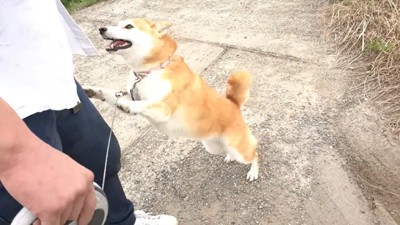 とっても嬉しそう♪