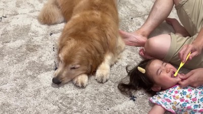 家に帰ると歯磨きです