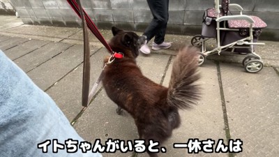 おばあちゃんが通り過ぎたらほっと一安心
