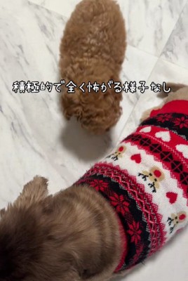 元気よくあいさつ！