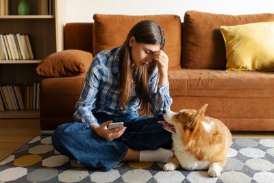 少女の顔を見上げる犬
