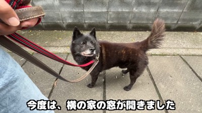 お次は窓が開く音に反応