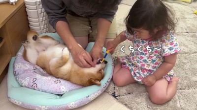 うにくんの歯磨きも