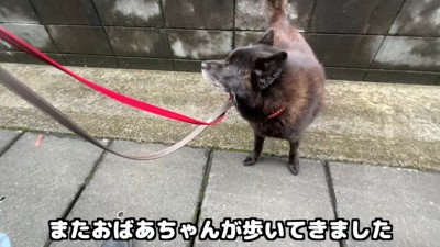 別のおばあちゃんを見たら…
