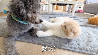 きゅうちゃん＆じゅんちゃん