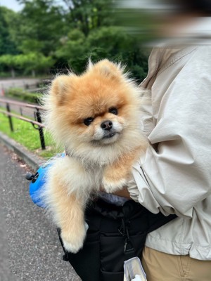抱っこ