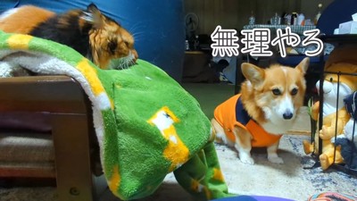 怖くて前を通れません！