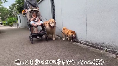 みんなでお散歩