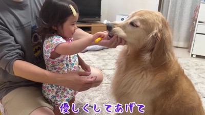 上手に磨けたね