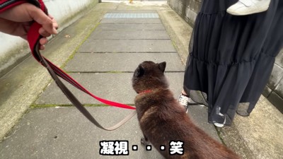 再び警戒モードに！