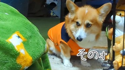 ディス子さんをチラ見