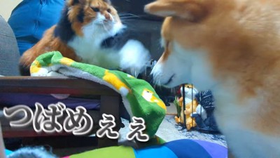華麗に避けるスティーブくん