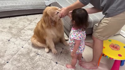 お手伝いするほのちゃん