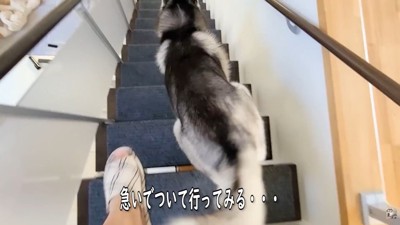 一緒に1階に向かいます